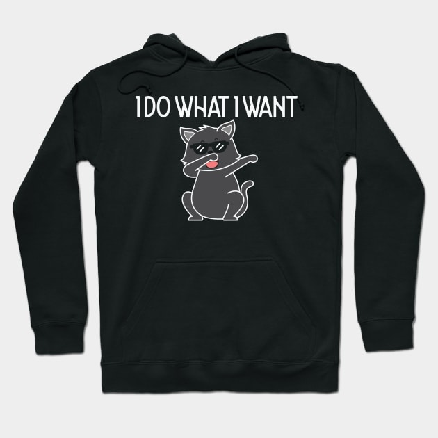 Funny Sarcastic Black Cat I Do What I Want Hoodie by Creative Town